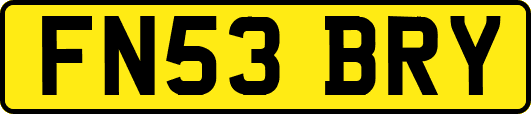 FN53BRY