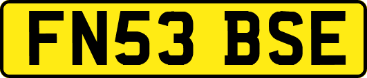 FN53BSE
