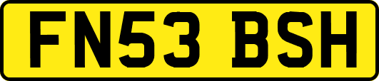 FN53BSH