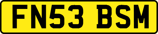 FN53BSM