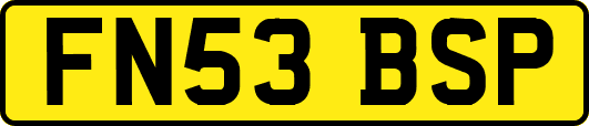 FN53BSP