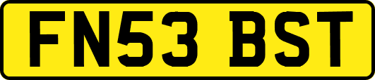 FN53BST