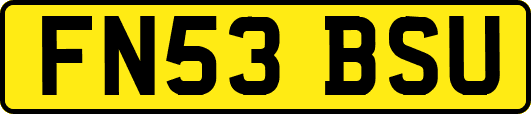 FN53BSU