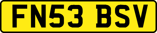 FN53BSV
