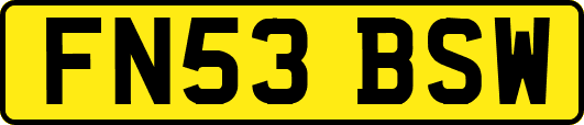 FN53BSW