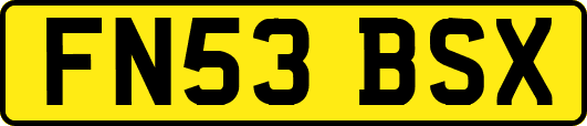 FN53BSX