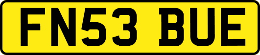 FN53BUE