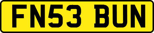 FN53BUN