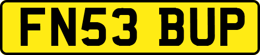 FN53BUP