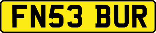 FN53BUR