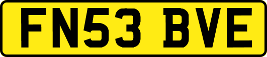FN53BVE