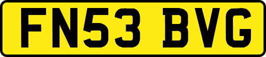 FN53BVG