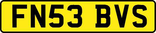 FN53BVS