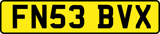 FN53BVX
