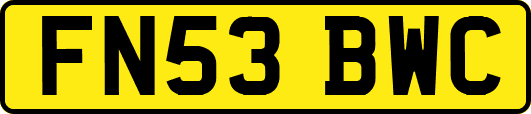 FN53BWC