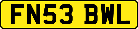 FN53BWL