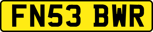 FN53BWR
