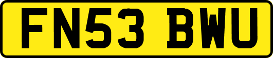 FN53BWU