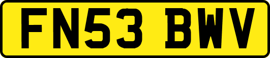 FN53BWV