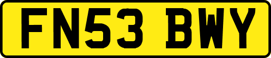FN53BWY