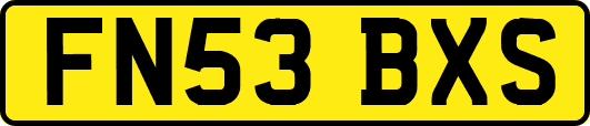 FN53BXS