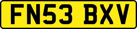 FN53BXV