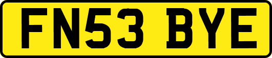 FN53BYE