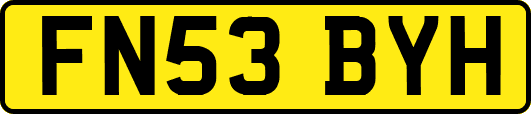 FN53BYH