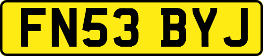 FN53BYJ