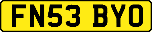FN53BYO