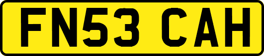 FN53CAH