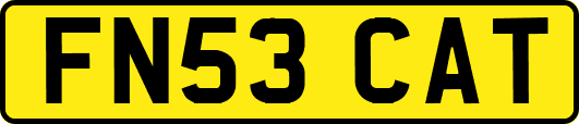 FN53CAT