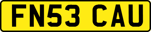 FN53CAU