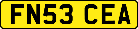 FN53CEA