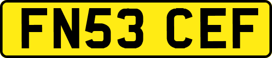FN53CEF