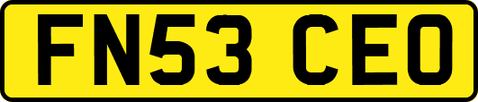 FN53CEO