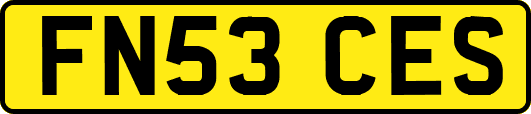 FN53CES