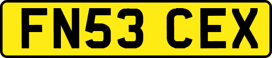 FN53CEX