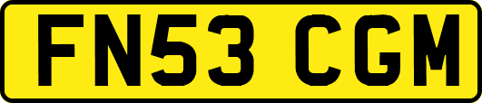 FN53CGM