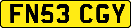 FN53CGY