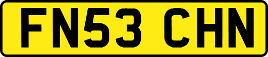 FN53CHN