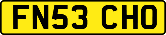 FN53CHO