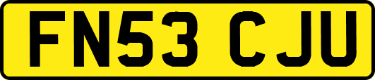 FN53CJU