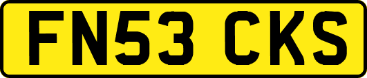 FN53CKS