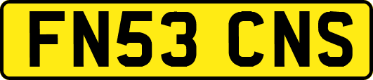 FN53CNS