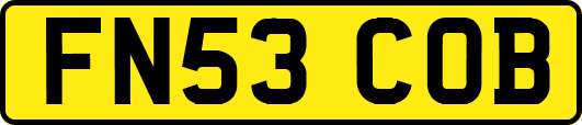 FN53COB