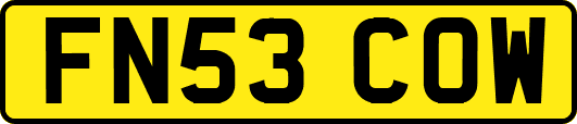 FN53COW