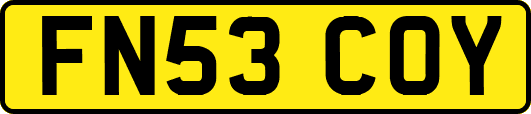 FN53COY