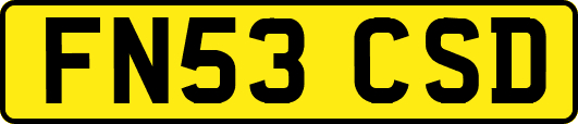 FN53CSD