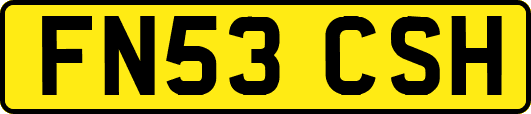 FN53CSH